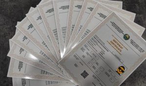 Magistratura va doktoranturaga kirish uchun chet tili sertifikati bekor boʻldi(mi?)