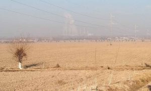 Ekologik barqarorlikni mustahkamlash jamoatchilik ishi