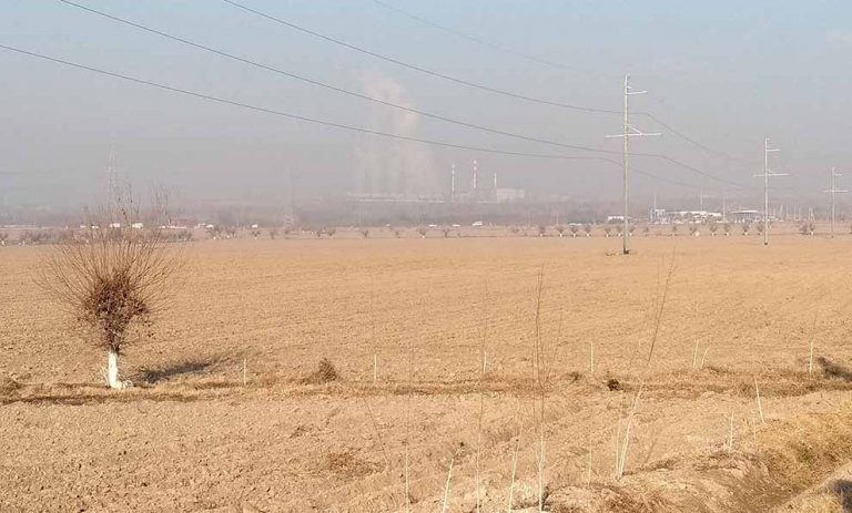 Ekologik barqarorlikni mustahkamlash jamoatchilik ishi